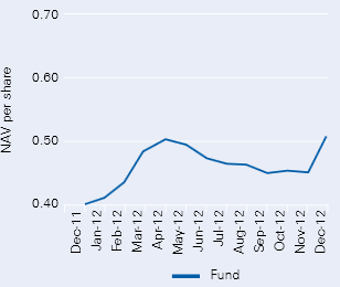 DWS Vietnam Fund Limited: Giải ngân hết tiền, lạc quan về triển vọng dài hạn của thị trường Việt Nam (1)
