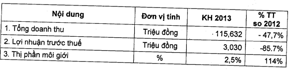 Chứng khoán BIDV: Giữ quan điểm thận trọng, năm 2013 đặt kế hoạch LNTT 3 tỷ đồng (1)