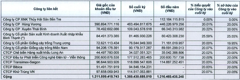 Soi danh mục đầu tư “khủng” của SSI