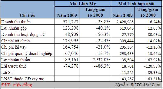 Tập đoàn Mai Linh: Sẽ tái cấu trúc tập đoàn (1)