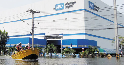 thay vì sản xuất, nhân viên Western Digital chèo thuyền đi bắt cá sấu ở Thái Lan