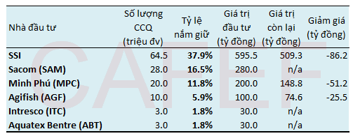 Những ai đang nắm giữ Quỹ tầm nhìn SSI? (1)
