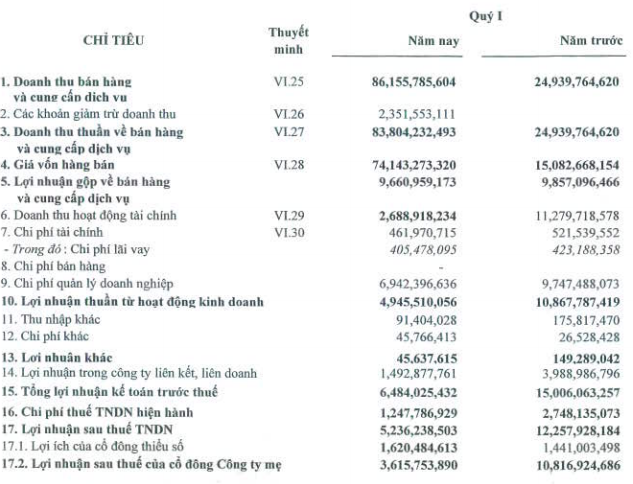 HDG: Doanh thu thuần tăng mạnh, lãi trước thuế vỏn vẹn 6,48 tỷ đồng (1)