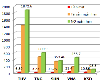 Điểm mặt các công ty bị kiểm toán nghi ngờ khả năng hoạt động liên tục (1)