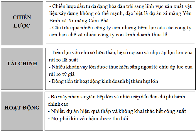 Tái cấu trúc Tổng Công ty minh họa trường hợp Vinaconex (1)