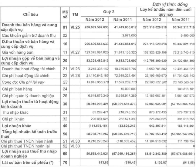 VNE: Công ty mẹ lãi 50,6 tỷ đồng Q2, gấp 2,8 lần Q1 (1)