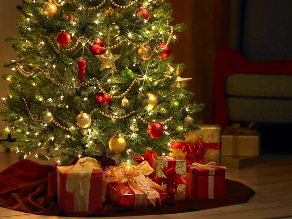 7 điều bạn chưa biết về ngành kinh doanh cây Giáng Sinh ở Mỹ (1)