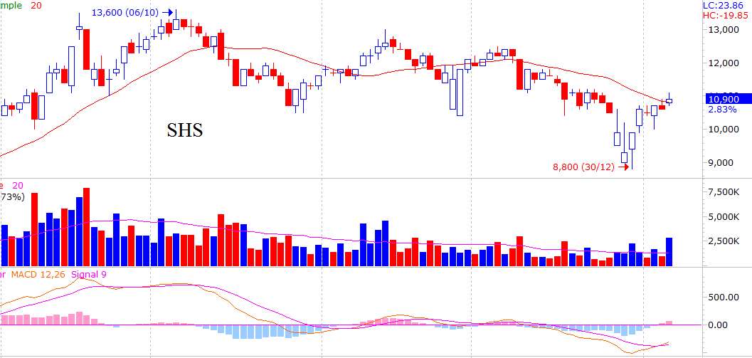 Cổ phiếu đáng chú ý ngày 7/1: SHS bứt phá sau khi giành thị phần, OGC giảm sàn (1)