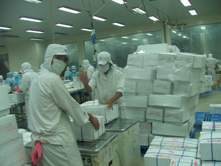Nhà nhập khẩu tăng mua cá tra Việt Nam để dự trữ (1)