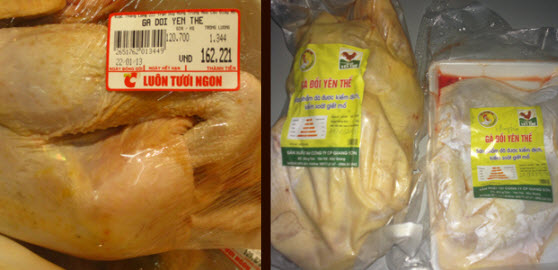 nghi an bigc vi pham nhan hieu ga doi yen the dau la ga that 
