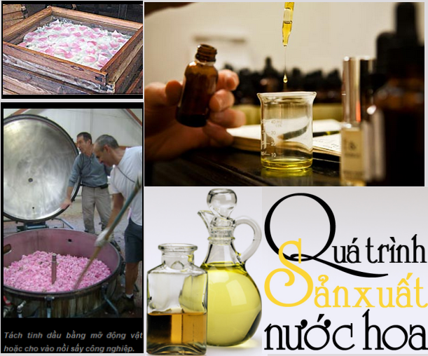 Hương gỗ, vỏ quế, tinh dầu hoa... đã biến hóa vào chai nước hoa như thế nào?