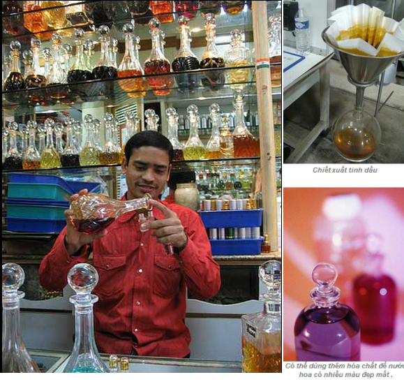 Hương gỗ, vỏ quế, tinh dầu hoa... đã biến hóa vào chai nước hoa như thế nào?