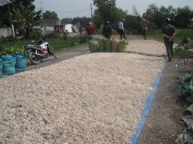 Phát hiện 4 tấn da bò dạng sợi giống hệt mực xé (1)