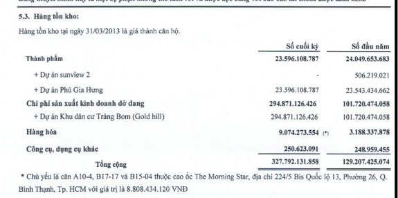 DXG: EPS quý I/2013 đạt 33 đ/CP (1)