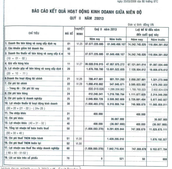 DHA: Quý 2/2013 báo lỗ, 6 tháng vẫn lãi (1)