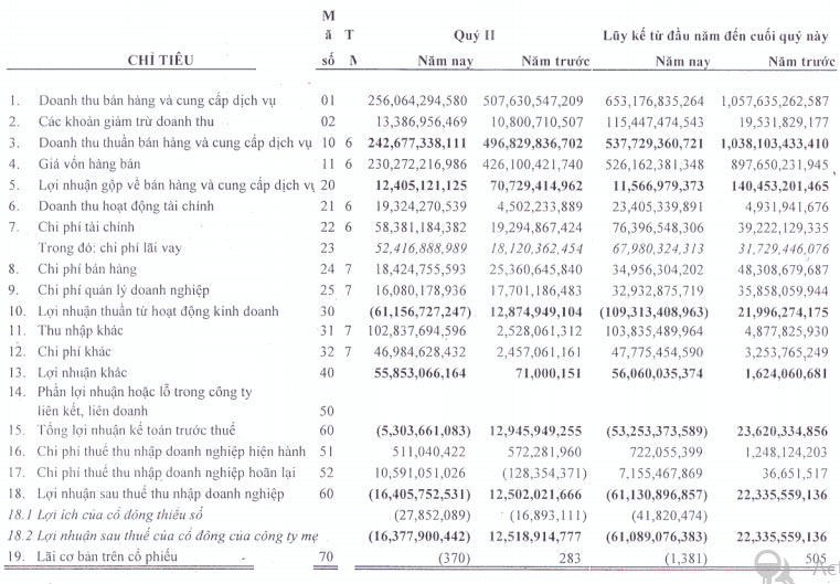 HLG: Quý 2/2013 lỗ hợp nhất 16,4 tỷ đồng (2)