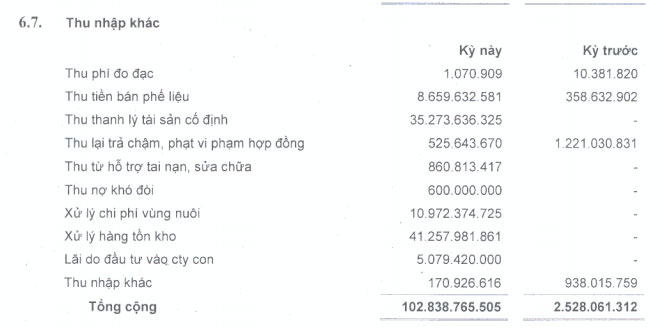 HLG: Quý 2/2013 lỗ hợp nhất 16,4 tỷ đồng (1)