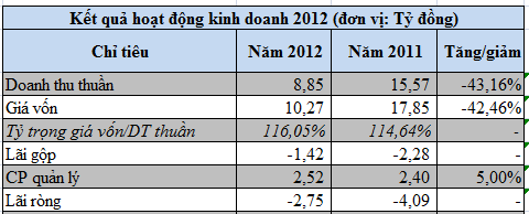 DHI: Cả năm 2012 không vay nợ, lỗ 2,75 tỷ đồng (1)