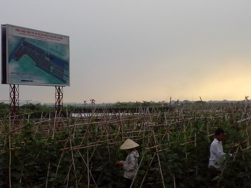 Đô thị mới Mê Linh: Hoang tàn vì nhiều dự án bỏ không 6 Xót xa với cảnh hoang tàn một số dự án đô thị mới Mê Linh (7)