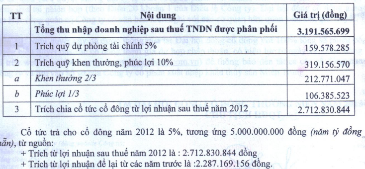 SPD thông qua kế hoạch đạt 1.355 tỷ đồng doanh thu năm 2013 (2)