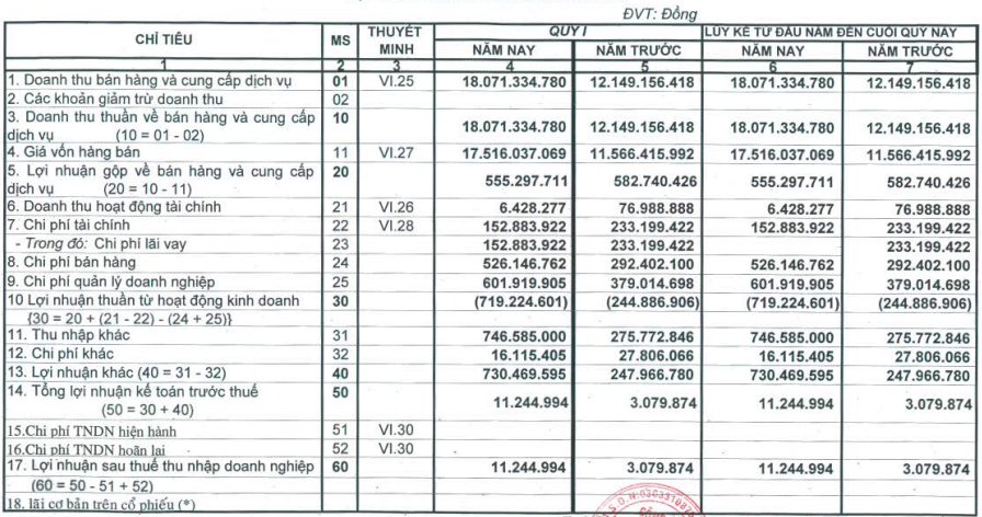 DTT, DTA: Báo lãi quý I/2013 (1)