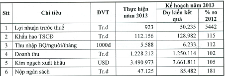 DAE, VHL: Kế hoạch kinh doanh năm 2013 (2)