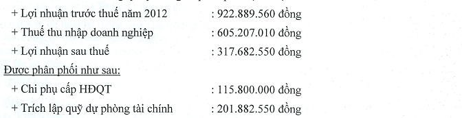 DAE, VHL: Kế hoạch kinh doanh năm 2013 (1)