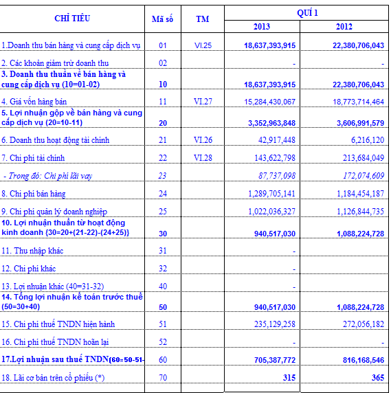 VE9, DPC: KQKD quý I/2013 (1)