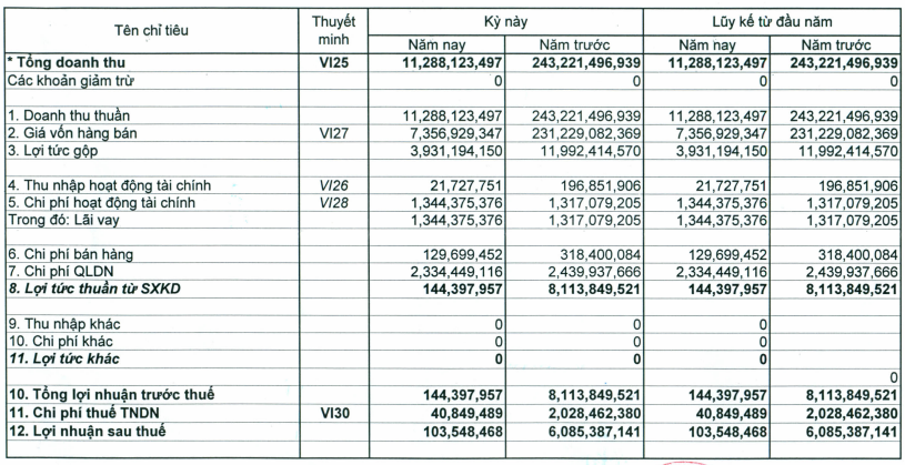 LCS, HHS: KQKD quý I/2013 (2)