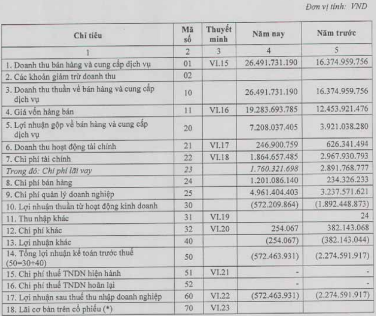 DLR, CMT báo lỗ quý I/2013 (2)