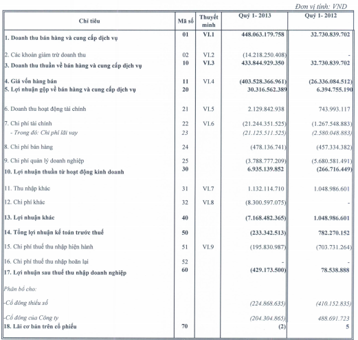 PTL, VNH: Báo lỗ quý I/2013 (1)