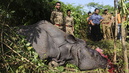 Thói quen người Việt lại bị bêu riếu trên báo nước ngoài (4)