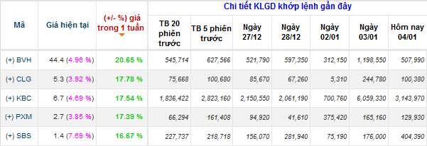 Cổ phiếu nào tăng mạnh nhất từ đầu sóng? (1)