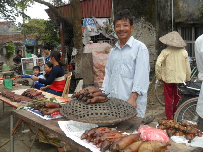 Thái Bình: Mỗi nhà kiếm vài chục triệu/tháng nhờ săn chuột 12