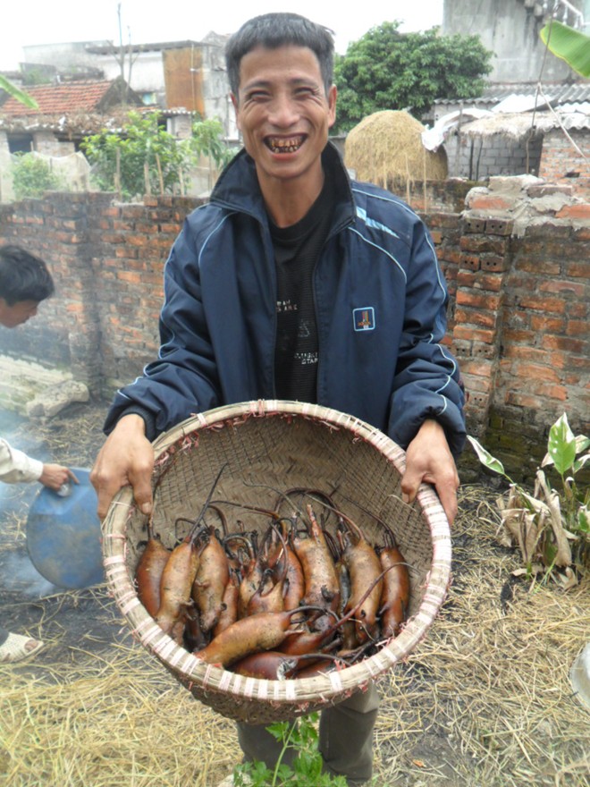 Thái Bình: Mỗi nhà kiếm vài chục triệu/tháng nhờ săn chuột 9