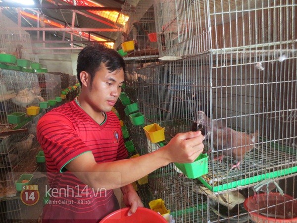 Chân dung nhân vật kiềm tiền tỷ mỗi năm nhờ nuôi chim.