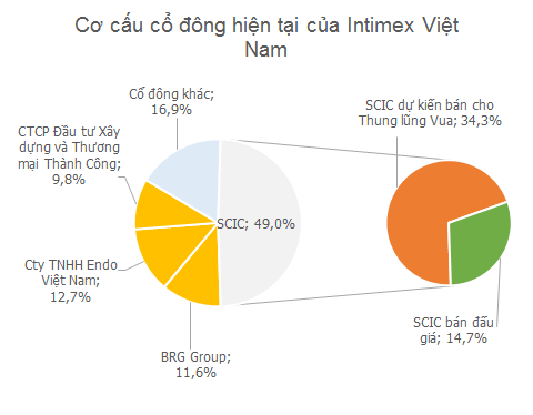 BRG Group sắp hoàn tất thâu tóm Intimex Việt Nam? (1)
