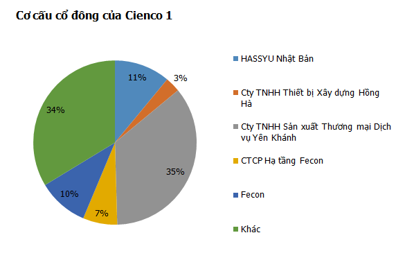 Một năm sau IPO, ai đang sở hữu các Tổng Công ty Cienco? (1)