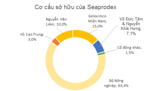 
Sau cổ phần hóa, Seaprodex có cơ cấu cổ đông khá cổ đặc. Trong năm 2015, Geleximco Miền Nam đã chuyển nhượng 10% cổ phần cho ông Nguyễn Văn Liêm
