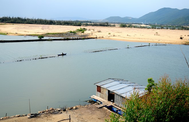 binh-dinh-ra-toi-hau-thu-voi-to-hop-loc-hoa-dau-nhon-hoi.jpg