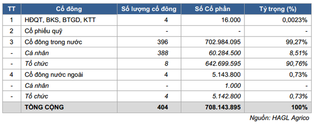 Chi tiết cơ cấu cổ đông HAGL Agrico
