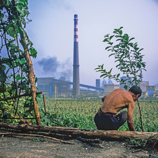 'Một người dân ở vùng ngoại ô Hàm Đan, nơi đặt nhiều nhà máy sản xuất thép. Ảnh: New Yorker'