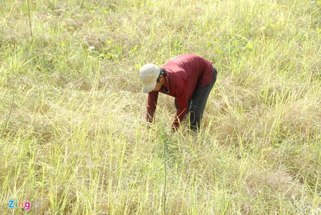  Tỉnh đã triển khai nhiều biện pháp phòng chống xâm nhập mặn nhằm đảm bảo cung cấp nước nước sinh hoạt phục vụ người dân, đồng thời đáp ứng nhu cầu sản xuất nông nghiệp và phòng chống cháy rừng. 