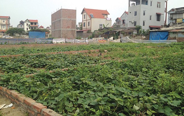 Nhà đất vùng ngoại thành cũng là lựa chọn lý tưởng cho dân văn phòng.