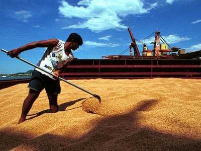 Best soft commodity: Soybean meal