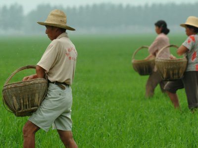 Adding to the challenges, Chinese wages have been rising in the rural and urban sector