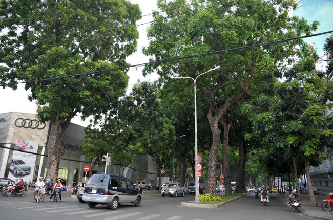 TPHCM chọn thiết kế cầu Thủ Thiêm 2 (2)