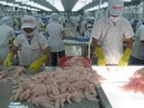 AGD: Lãi ròng 23,03 tỷ đồng, tăng 14% so với cùng kỳ