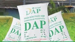 Chứng khoán IB đăng ký bán 5 triệu cổ phiếu DAP Vinachem