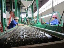 Đến lượt NutiFood nhảy vào cà phê